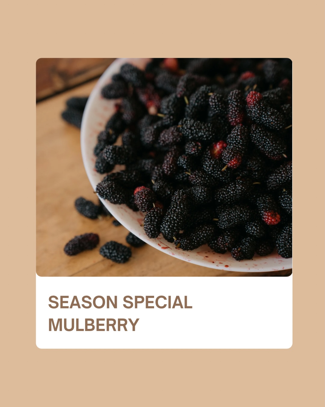 ⛱️🌻
Taste the Summer Recommendations for this Week !
Mulberry on Crepes and Cheesecake
Mulberry Lemonade is a real quencher
Grilled Cranberry & Walnut Sandwich - a juicy and indulgent sandwich that’s a bestseller
Caprese Salad - Italian delights in Coorg summer
Coffee shop, specialty coffee, agastya coffee cafe, Coorg cafés, Coorg shopping, Madikeri, farm to table, mulberry, seasonal fruits