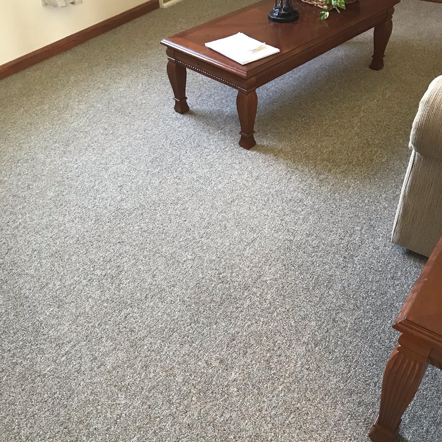 Pet stain removal + Deep-Cleaning in Medina, OH
