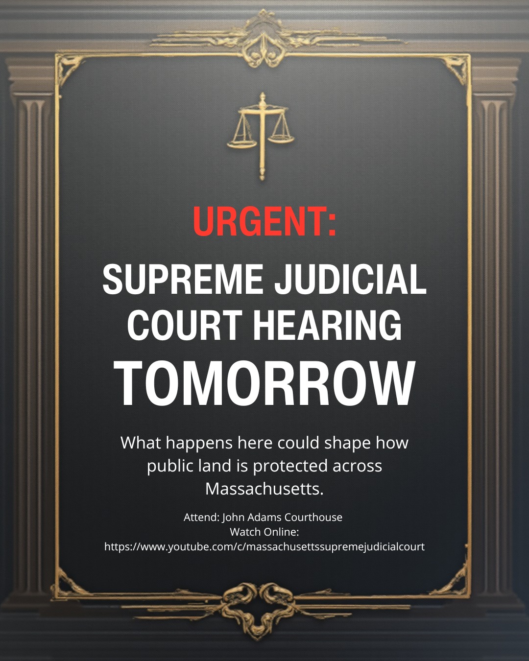 🚨 This Wednesday. 9:00 AM. The future of Franklin Park is in court.
The Massachusetts Supreme Judicial Court will hear arguments on the White Stadium case — what happens here could shape how public land is protected across Massachusetts.
📍 Attend in Person: John Adams Courthouse
📺 Watch online: Link in Linktree
Stay tuned. We’ll share a full recap after the hearing.
#SaveFranklinPark #PublicLand #EnvironmentalJustice