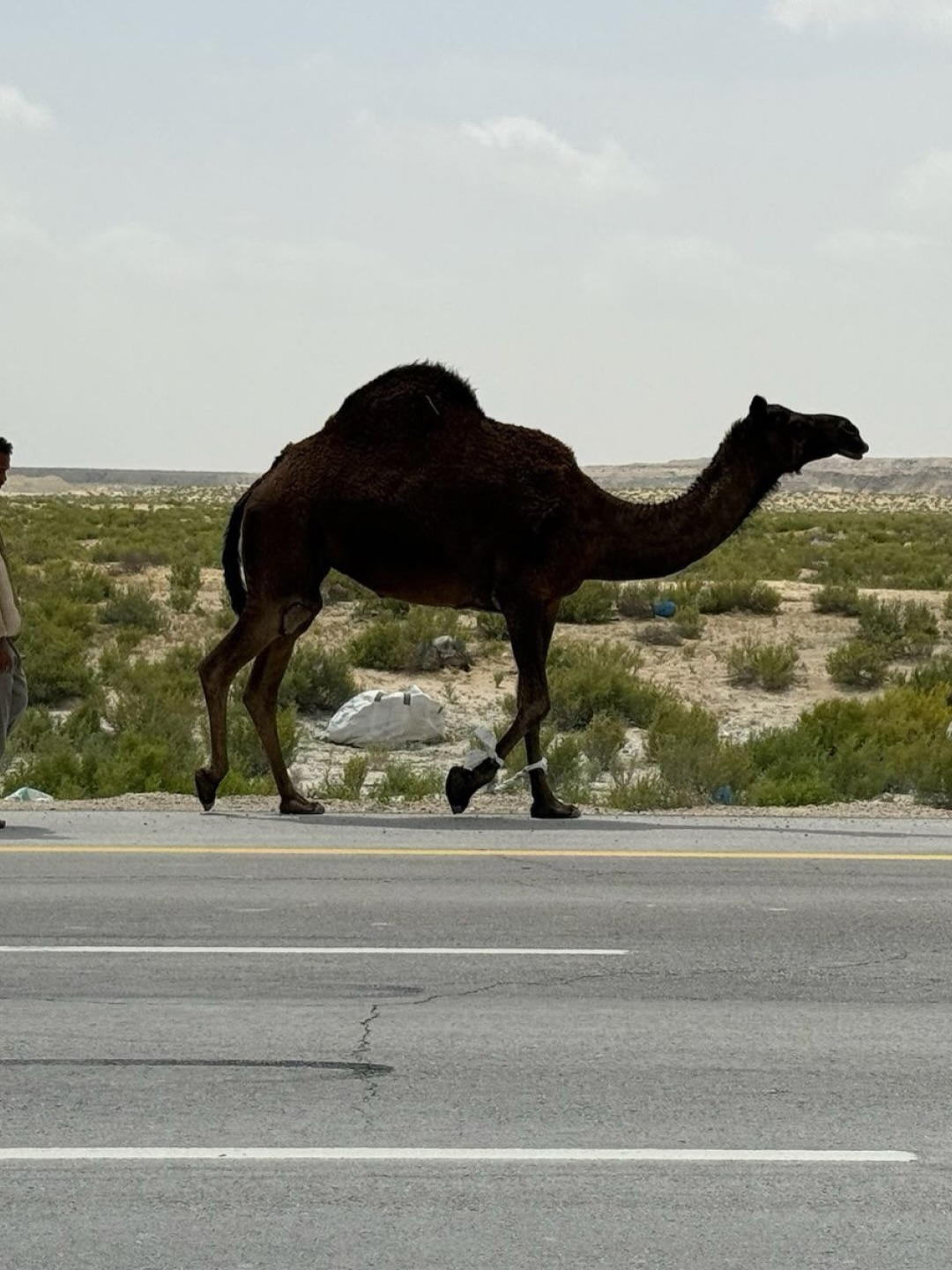 Je reviens d’un séjour à Dhahran, en Arabie saoudite.
Un voyage qui laisse une trace très particulière...
Le désert, les terres rouges, les lumières très franches. Une sensation d’espace et de calme qui continue de résonner après le retour.
J’ai aussi été marquée par la qualité des rencontres.
Une attention réelle, une forme de sérénité dans les échanges.
Ces déplacements nourrissent toujours mon travail. Sans que cela soit visible immédiatement. Les couleurs, les rythmes, les équilibres changent doucement.
Je retrouve l’atelier avec un regard plus posé.
Chaque voyage déplace quelque chose dans la peinture.