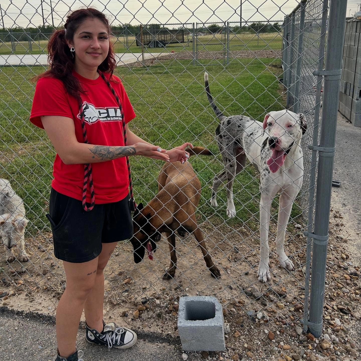 YET ANOTHER BIRTHDAY SHOUT OUT! Don't only wish Elsie a happy birthday, don't forget to tell pur very own staff Happy Birthday! Gigi, our K9Fit staff shared a birthday with Elsie!