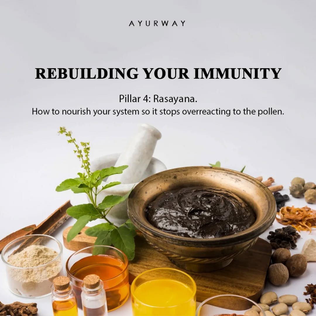 Training your immune system to stay calm.
Prevention isn't just about what you do today; it’s about the habits you keep long-term. Pillar 4 (Rasayana) is about rejuvenation, nourishing your system so it stops overreacting to the environment.
The Final Phase Protocol:
Guduchi: The "King" of immunomodulators. It trains your cells to ignore pollen.
Chyawanprash: Build your Ojas (vital energy) for a high baseline of resistance.
Turmeric & Pepper: A permanent culinary habit to stabilize mast cells.
Local Honey: Your "natural vaccine" for seasonal desensitization.
Consistency is the secret to a resilient body.
📍 Visit our clinic in Sunol, CA for a long-term rejuvenation plan.
💬 DM "RESILIENT" for our top 3 recommended herbal rejuvenators.
#AyurwaySunol #Ayurveda #Rasayana #Immunity #SunolWellness