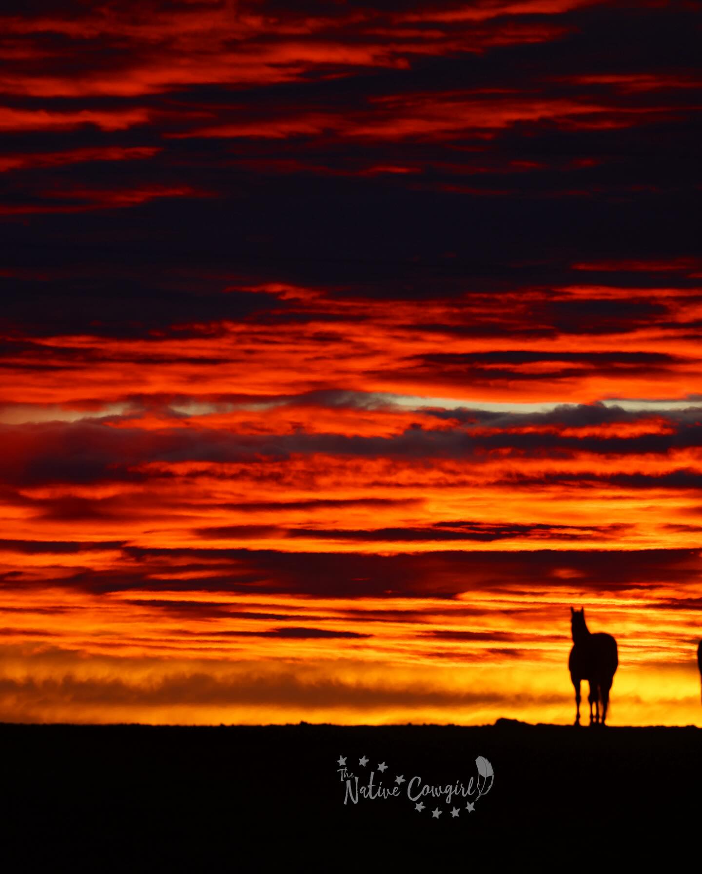 There comes a moment when you realize life is never going to go exactly as planned.
There will be unexpected detours. Heartbreak. Loss. Disappointment. Seasons that test you in ways you never saw coming.
But there is also something powerful in that realization…
You may not control what happens to you, but you do get to choose how you respond.
You can let it harden you…or you can let it shape you.
You can choose to rise anyway.
To keep going anyway.
To meet life with courage when you feel afraid.
With grace when you feel broken.
And with a little humor when everything feels too heavy.
I have learned that strength is not pretending everything is okay. Strength is showing up, even when it’s hard. Strength is choosing to keep moving forward one step at a time.
You are the queen of your own life. No matter what this season looks like, the choice is still yours.
Choose to survive.
Choose to heal.
Choose to rise.
🪶Cheyenne, The Native Cowgirl