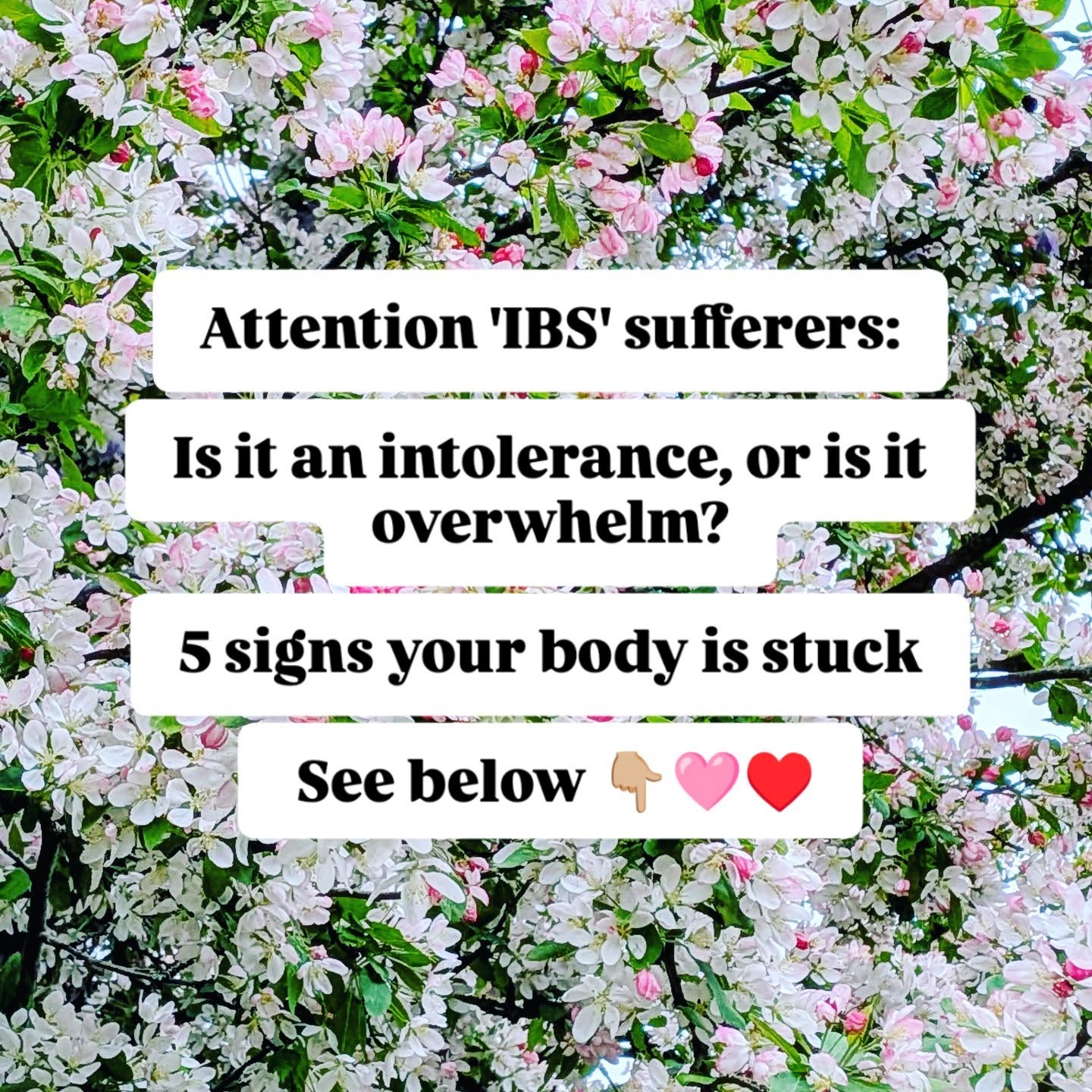 It's a familiar story I hear people tell of cutting out foods, it helps for a while but then their IBS / digestive symptoms return or they find the 'diets' are difficult to maintain.
Here are 5 signs your nervous system needs support and it's not just about cutting out foods...
1) You become instantly bloated and uncomfortable as soon as you eat and drink anything 💨🎈
2) Your stools float and/or are light in colour 💩
3) You are constipated or struggle to pass a healthy bowel movement daily 😫
4) You see undigested food in your stool 🔍👀
5) You are gaining weight around your middle or struggle to lose weight from that area 🛞
#ibs #intolerance #stressrelief #nutrition #autoimmune
Please drop me a DM if you need support.
Lucy 🩷♥️
