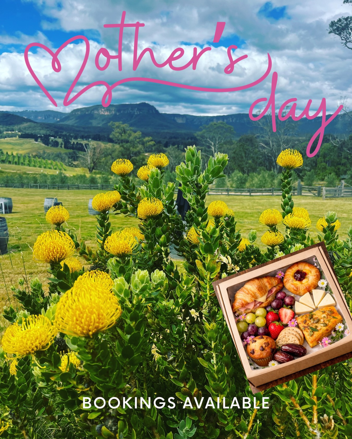 Mother’s Day is only 4 weeks away! Bookings are now available on the website (Link in bio). #mothersday #bluemountainsnsw #winetourism #bluemountainswine #nswtourism