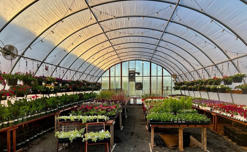 That early morning greenhouse glow ☀️🌈
.
.
.
.
.
#royalcitywa #gardencenter #annuals #greenhouse #plantinginspiration