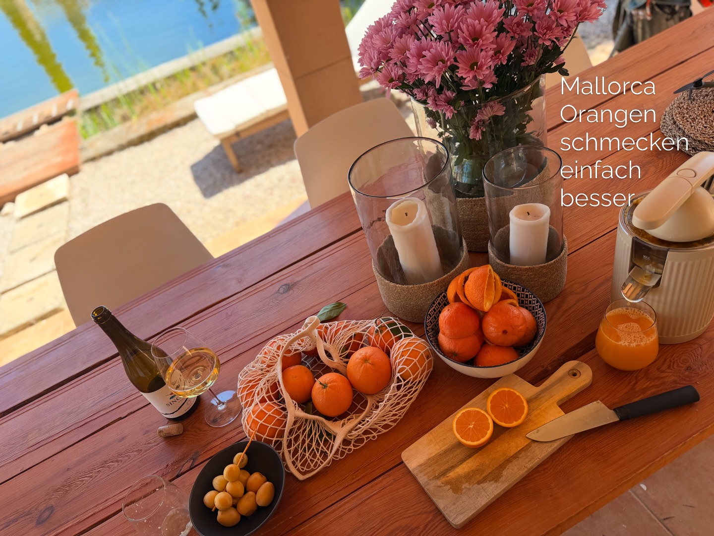 Unsere neue elektrische Saftpresse hat es tatsächlich im Handgepäck mit auf die Finca geschafft 😅✈️
Denn eines lieben wir hier ganz besonders:
frisch gepressten Orangensaft am Morgen 🍊
Unsere eigenen Citrus-Bäume sind noch jung und brauchen noch etwas Zeit, bis sie ihre volle Reife entwickeln.
Bis dahin holen wir uns die perfekte Mischung einfach vom Wochenmarkt.
Jeden Sonntag besuchen wir den Markt in Pollença und kaufen unsere Orangen und Zitronen bei dem netten Stand mit Früchten aus Sóller.
Kilopreis ca. 2,50 € und eine extra Orange gibt es natürlich immer oben drauf 😅
typischer Markt-Charme eben.
Und das Beste:
Der Marktbesuch lässt sich wunderbar mit einem Abstecher zur @mad_donkey_mallorca verbinden.
Sie liegt quasi auf dem Weg und ist jedes Mal ein kleines Highlight – besonders, wenn man in glückliche Kinderaugen schaut, sobald sie die Esel entdecken 🫶
Kaffee und Kuchen gehören für uns dort natürlich auch dazu.
Zurück auf der Finca mixen wir die gekauften Orangen dann mit den ersten Früchten unserer eigenen Bäume.
Noch ein bisschen saurer… aber genau dieser „Sauer macht lustig“-Kick gehört irgendwie dazu 🍊😅
So schmeckt für uns ein perfekter Sonntag
Die Saftpresse gibt es aktuell bei Lidl.de für 25€
Auch in schwarz erhältlich. Diese haben wir in Deutschland
Und sie ist super stabil und einfach zu reinigen. Habe lange suchen müssen und hab sie endlich gefunden. 🍊🤗