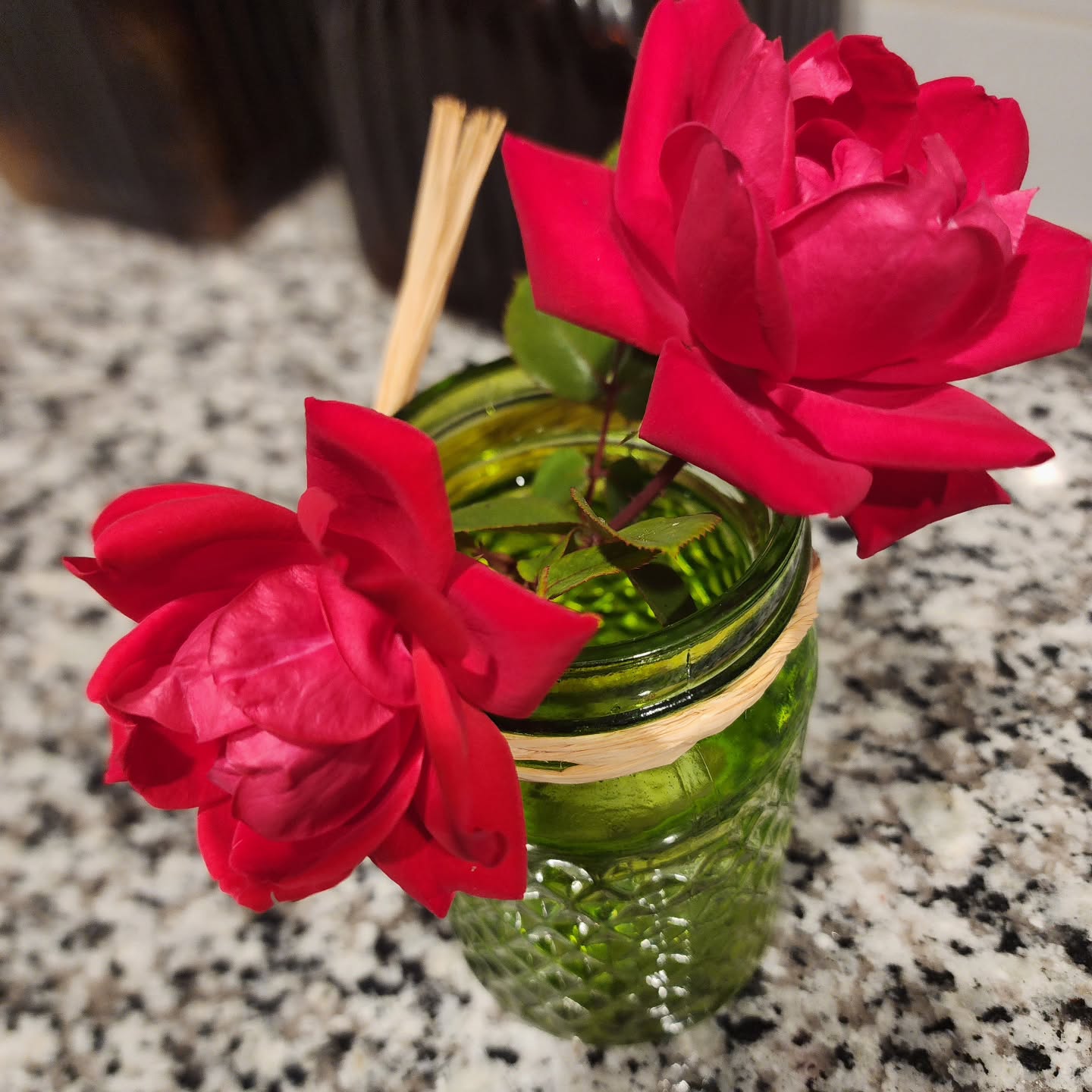 Fresh roses from my garden 🌹
These roses are a reminder…
You are beautiful. Period.
And YOU matter to God. Don’t forget it.
Take five minutes a day to read your Bible and see what God says about you.
Don’t have one? DM me. I’ll send you one. Free shipping in the US only.#YouMatterToGod #youarebeautiful #roses🌹
