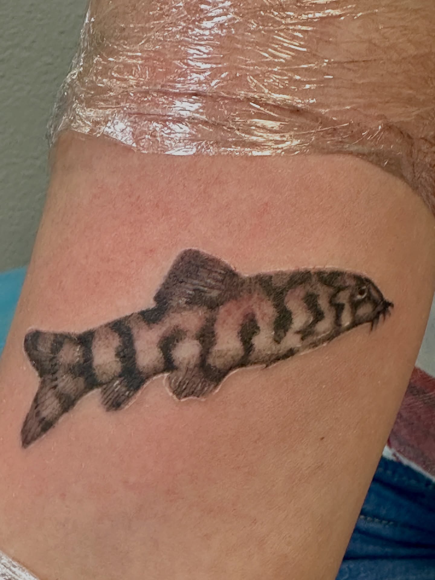 Thank you Meladie for donating to Deebo with a tattoo of the yo-yo loach fish! Your support is really appreciated!!
Tattoo by artist Bud
#loach #fishtattoo #tattoos #sacramentotattooartist #sacramentotattooshops