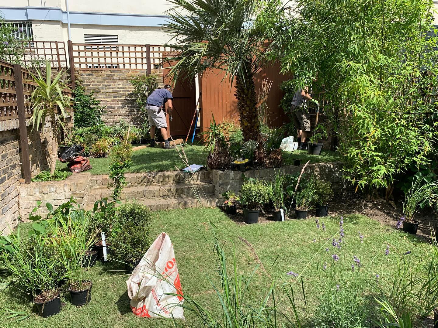 ✨You asked for more before and afters✨
Swipe to the 4th picture to see the before! What a transformation!
#londongardens #londonlife #garden #gardendesignlondon #gardendesign #plants #easyplants #gardendesigner #landscapedesign