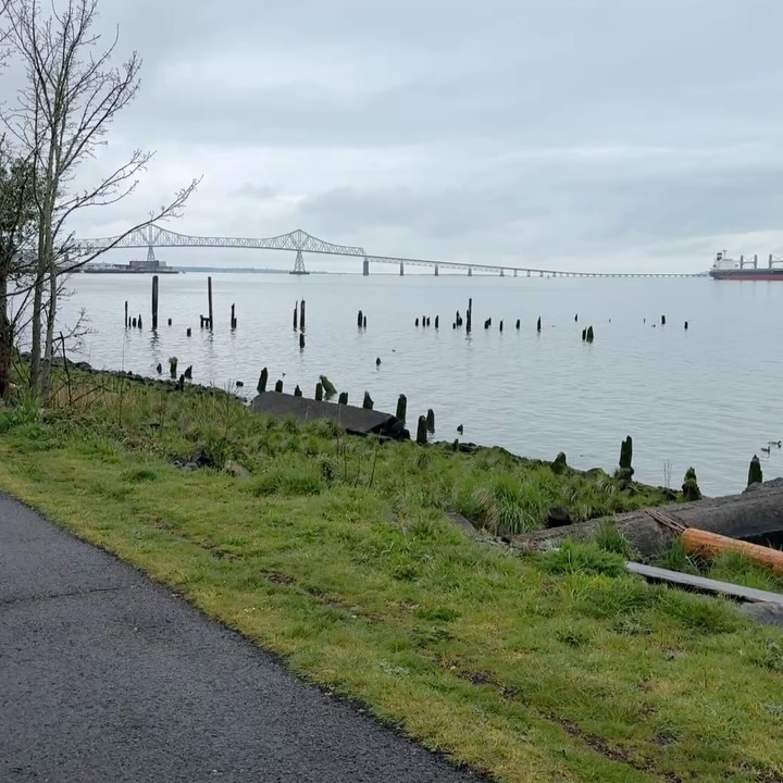 Rogue Cell Dog Walk on a beautiful Astoria morning!