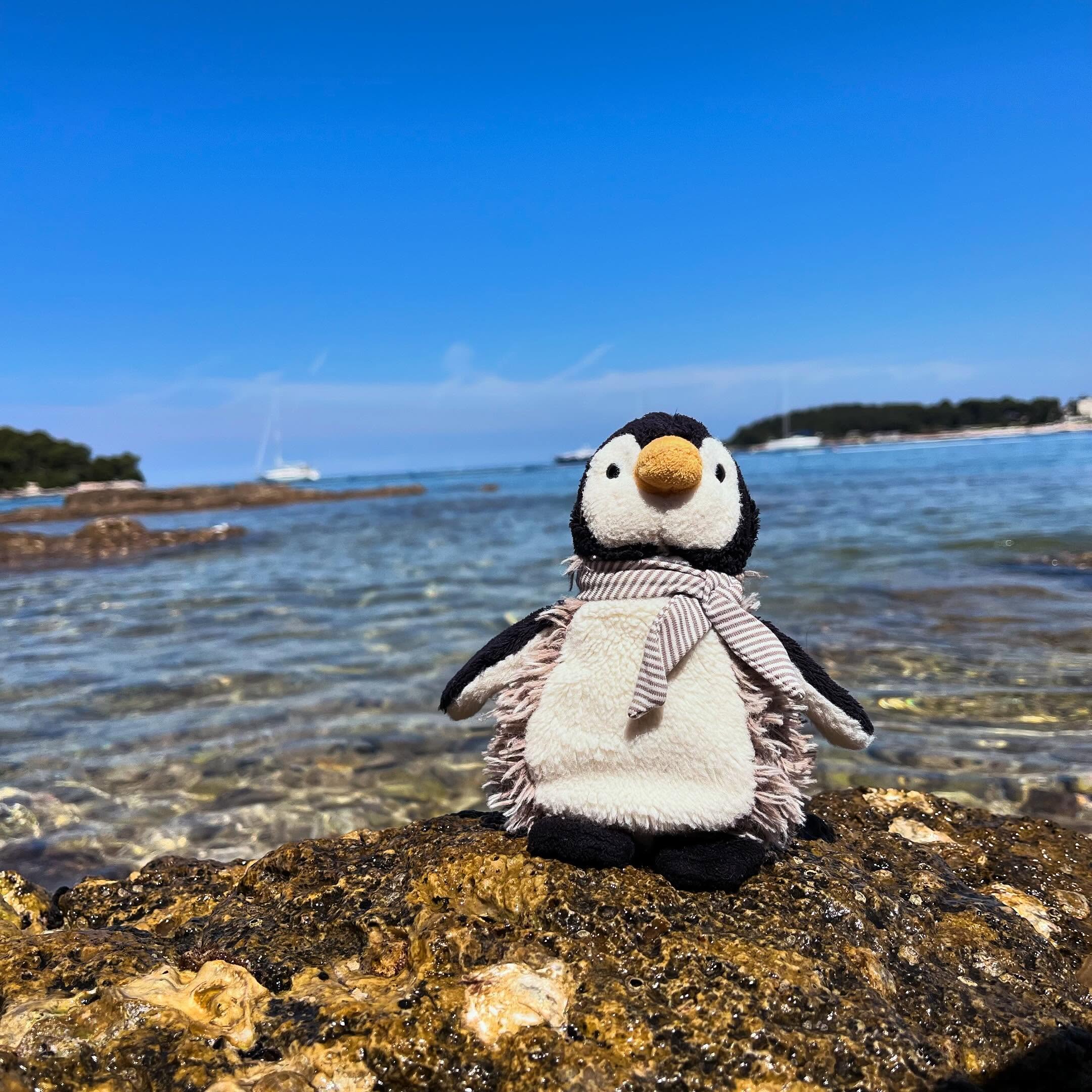 Otto macht wieder Urlaub 😎
#ottoontour #ausblick #weitblick #meerblick
