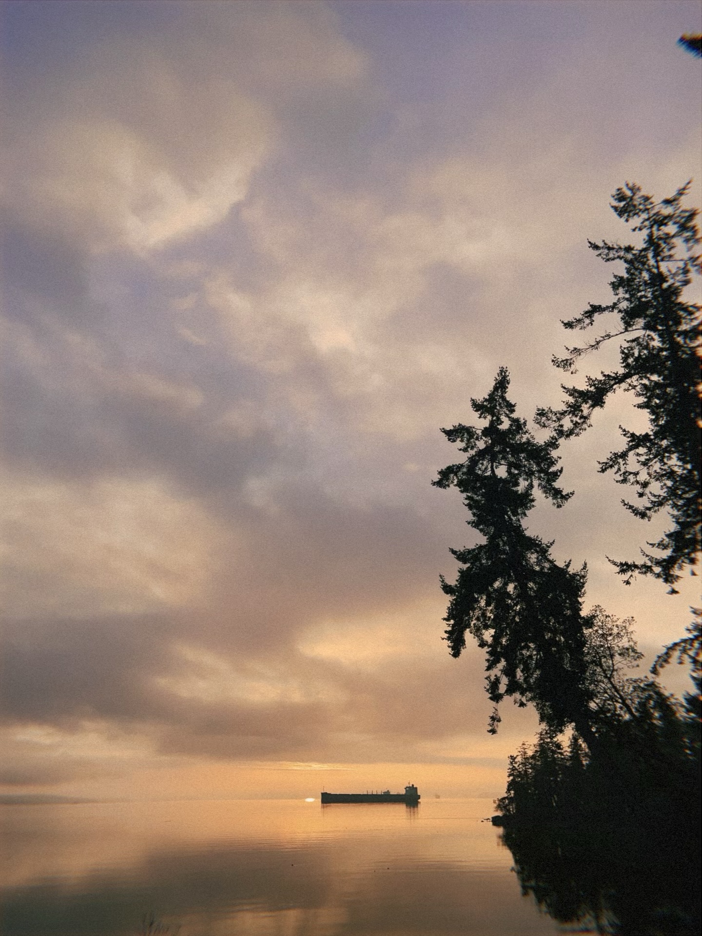 “For the joy that lay before Jesus, he endured the cross, despising the shame, and sat down at the right hand of the throne of God.” Hebrews 12:2
Jesus knew he had suffering to endure here on earth, but He had His focus on the joy set before Him.
What was His joy? Obeying His Father. Making a way to bring us into His house as His children. Restoring relationship with Him. Setting us free!
We become what we behold. And I think we so easily get entangled and ensnared in the wrong things because we’re focusing on them so much! We’re becoming what we behold.
But what if, today, it was different? ☀️
What if today you focus your eyes on Jesus? What if you make Jesus the Joy set before you? He is indeed the Author and the Finisher of our faith. The Pioneer and Perfecter of our faith.
When you keep your eyes on Him, the Author of your faith (and your life!), the outcome will be that your faith will increase! You become what you behold!
I believe the Lord wants to encourage us all on this beautiful Monday morning — or whatever day it is when you read this— to lift up our eyes to Him. For He is where the Joy is! And, if Jesus had His focus on the joy of before Him, even with the suffering and shame, He set the example for us to do the same. We can do it because He showed us it’s possible. You can do it, friend!
“Let us run with endurance the race that lies before us, keeping our eyes on Jesus, the Pioneer and Perfecter of our faith.”