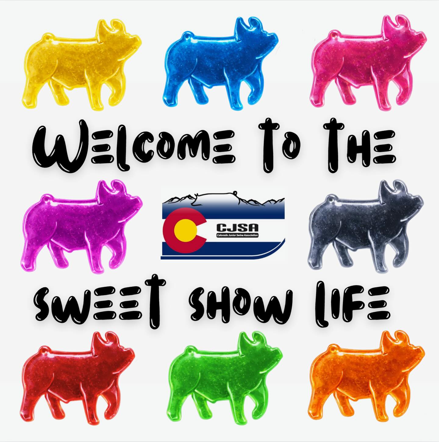 ❕❕❕🍭🍬2026 THEME REVEAL🍬🍭❕❕❕
Who’s ready to join us this season for the Sweet Show Life?
🗓️First Show is the Elevate Jackpot in Bennett on April 24th & 25th.
📱Get your membership done early so it’s taken care of!
https://showman.app/shows#/show-series/colorado-junior-swine-association-2026