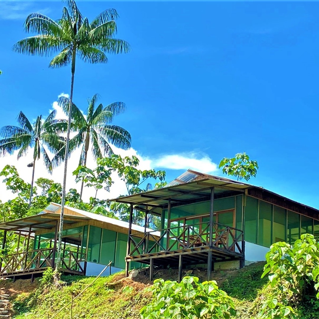 Amazon Açaí Lodge