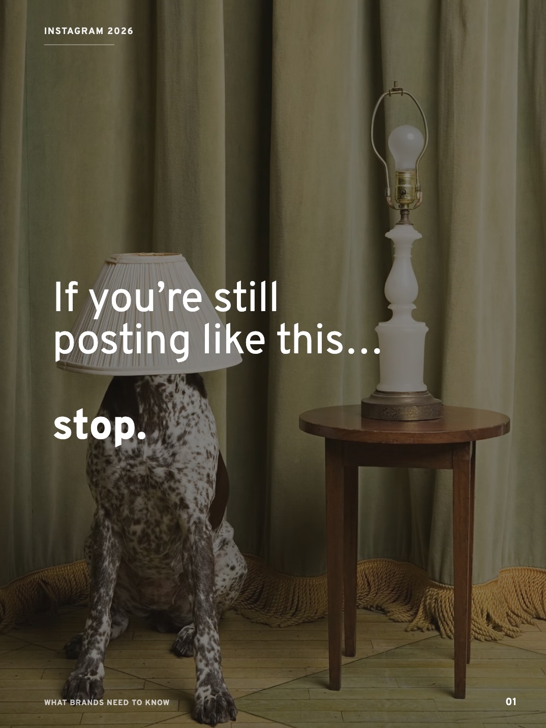 Most businesses aren’t struggling with Instagram because they’re “bad at content.”
They’re struggling because they’re working off an outdated understanding of how the platform actually works.
The shift isn’t small.
Your content is no longer competing for your followers’ attention.
It’s being tested on non-followers first. That changes everything about how your content strategy should work.
What used to perform well on Instagram doesn’t necessarily translate anymore.
And posting more of the same thing rarely fixes it.
In most cases, it does the opposite.
If your content isn’t built with this in mind, it’s not just underperforming. It’s quietly teaching the algorithm to stop prioritising your posts altogether.
That’s usually the point where businesses start questioning whether social media is even worth it.
If this made you rethink how you’re approaching your Instagram or broader social media marketing, that’s a good place to start.
If you’d rather not figure it out on your own, we do this every day.