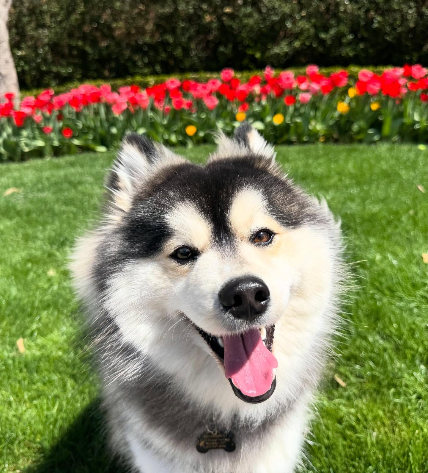 Manning says welcome spring! π·