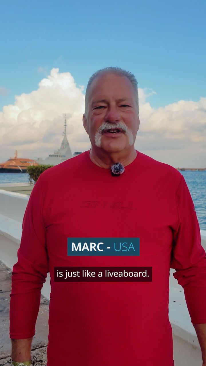 This is why we do what we do. 💬
Real stories from real divers who explored Cozumel with us.
Let this be your sign to dive Cozumel
Book your dive. We’ll take care of the rest
See you underwater. 🌊
#aldoradivers #cozumel #scubadiving