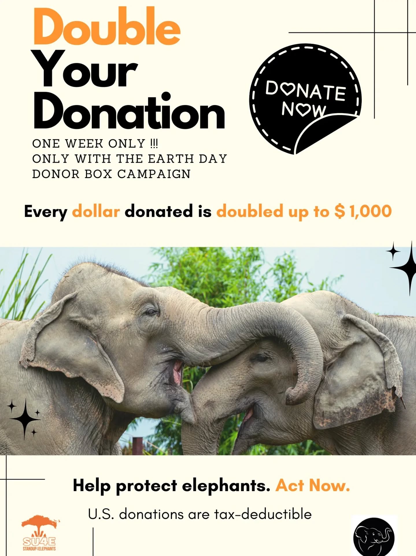 Link in bio and in our story to participate to that special campaign !
🙏🤍🐘
@theelephantinitiative
