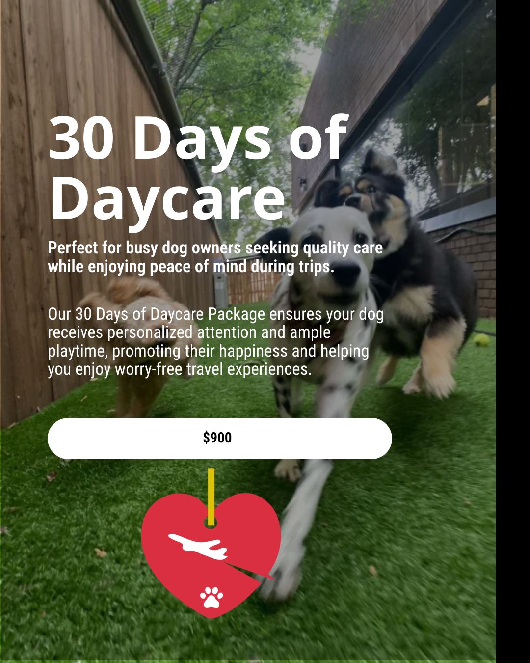 Give your pup the gift of joy with our 30 Days of Daycare Package! 🐶💖 Designed for busy dog owners, this package ensures your furry friend enjoys personalized care and plenty of playtime while you travel worry-free.
With flexible drop-off and pick-up hours from 7:00 AM to 7:00 PM and a commitment to providing regular photo updates, you can feel confident your dog is socializing and having a blast in a safe environment. For just $900, we prioritize your dog’s happiness and well-being.
Curious to learn more? Reach out today or check the link in our bio!
#DogLovers #PupJoy #DogHappiness #LuxuryDogBoarding #DogPlaytime #PetCare #DogDaycare #ArlingtonDogs #PetServices