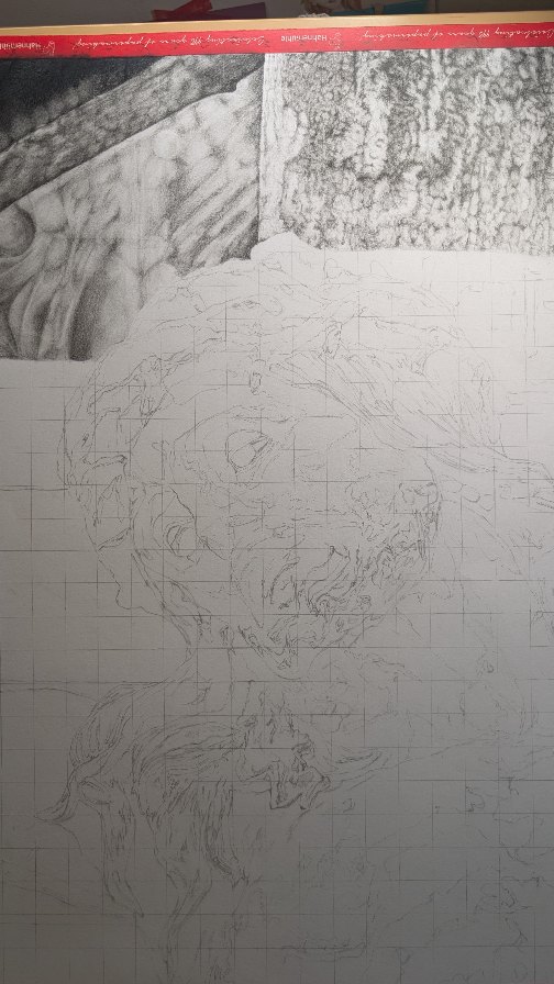 Bin so froh, den ersten Teil abgeschlossen zu haben.
Freu mich auf das was noch kommt,vor allem wenn es dann endlich um den Hauptteil geht.
#pencilartwork #hyperrealism #photorealistic #dailyart #myownartology