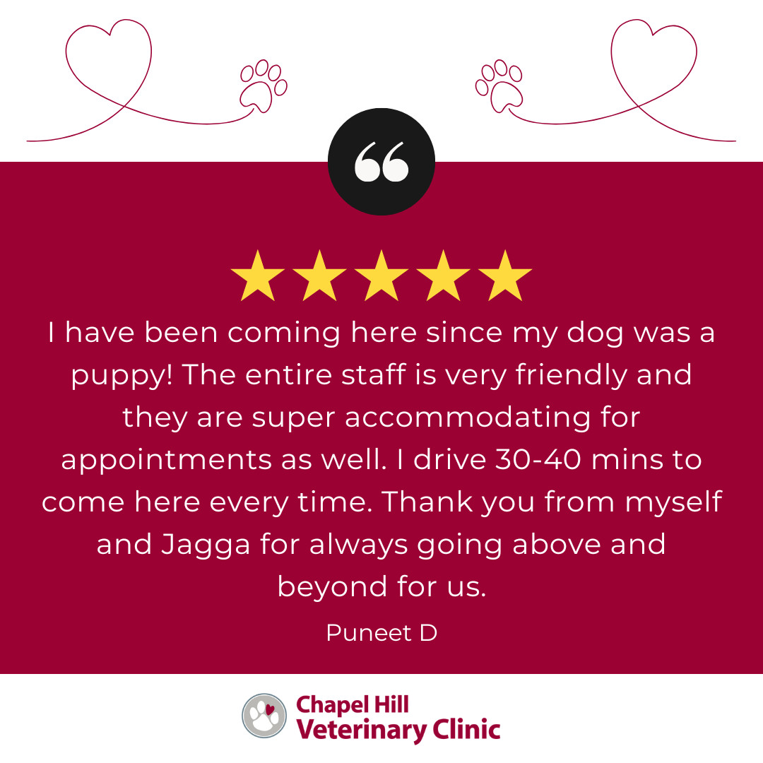 Being trusted with the health and happiness of your pets means everything to us. It’s a privilege to care for them as if they were our own. 🐶🐱