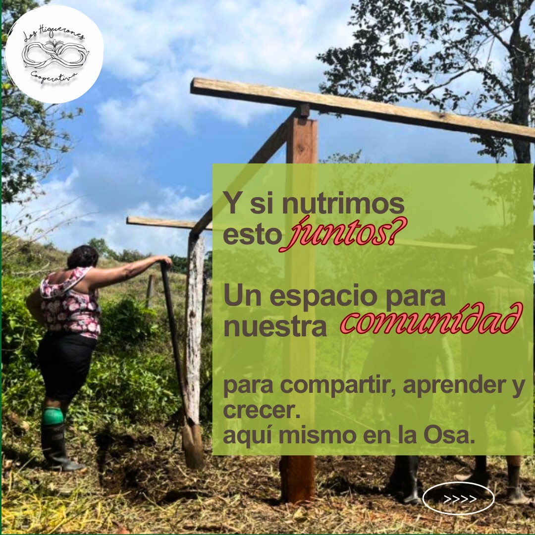 Buscas gente con quien relacionarte, hacer cosas divertidas y colaborar para construir un futuro mejor para tus hijos y nietos?
Ven a Los Higuerones los sábados entre las 11:00 y las 15:00 y pregúntanos cómo puedes participar.
Y si te encanta lo que hacemos pero crees que no tienes tiempo para proyectos adicionales? Hazte socio y disfruta de las ventajas sin necesidad de dedicar más tiempo. 😊
#economialocal #sostenibilitat #communidadvalenciana #resiliencia #comidalocal