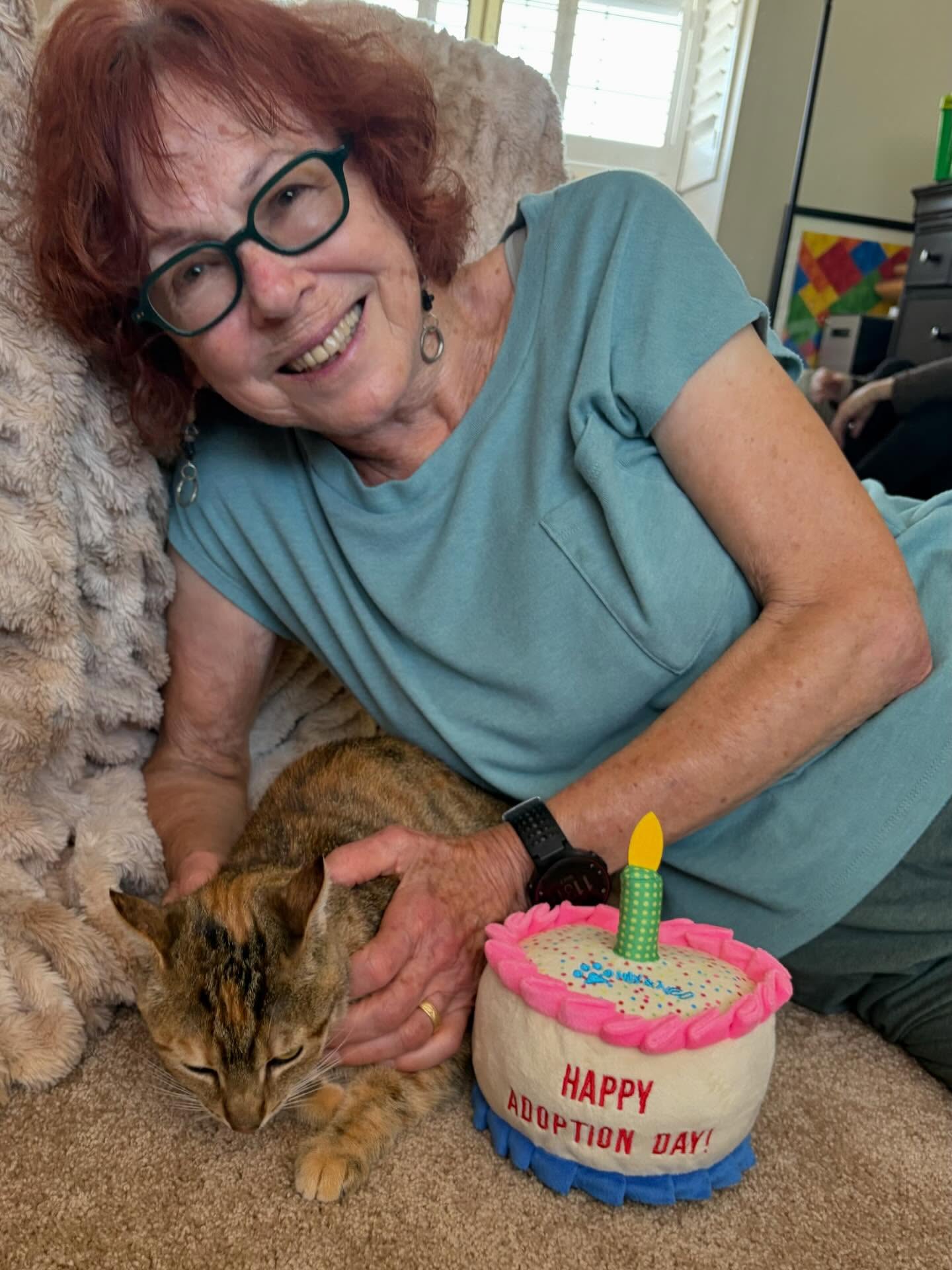 Happy Day for our sweet mama cat Misty!
After rescuing Misty pregnant & finding loving homes for all 6 of her kittens, she finally got HER very own wonderful Forever Home! π
Thank you to our awesome Adoption Coordinator @laurie.h.nash for fostering ALL 7 of these cats and to our Alma volunteer @jennp_67 for making the connection.
#rescuecats #adoptdontshop #rescuedisourfavouritebreed #hapilyeverafter #almarescue