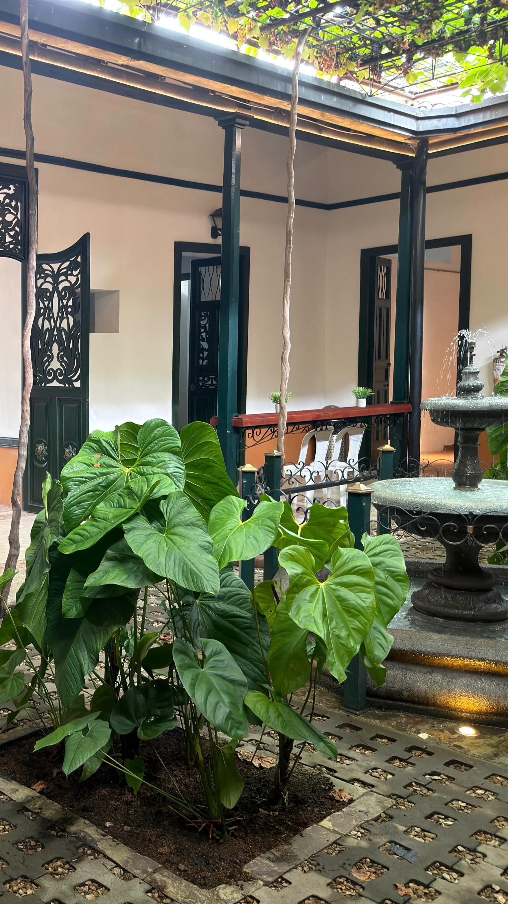 La espera terminó. La Casa de Todos y Todas abre sus puertas en Tuluá. 🤩
Un lugar que late de nuevo en el corazón del Valle del Cauca: donde el arte, la cultura y la comunidad se abrazan para crear, soñar y construir juntos.
Desde Compromiso Valle, nos llena de orgullo y alegría ser parte de este relanzamiento. Durante años, este espacio fue refugio, inspiración y punto de encuentro para jóvenes, niños, niñas y artistas del territorio. Hoy regresa —más vivo que nunca— para seguir transformando vidas.
Porque La Casa de Todos no es solo un lugar. Es libertad. Es creación. Es comunidad. Es la posibilidad de encontrarnos en la diferencia y construir, desde el arte y la palabra, un futuro mejor.
Aquí, muchas voces convergen con un mismo propósito: creer que sí es posible un mundo mejor y trabajar —desde lo colectivo— para hacerlo realidad.
Gracias a quienes hacen parte de este sueño. A quienes la cuidaron cuando nadie miraba. A quienes siguen creyendo en el poder transformador de las oportunidades.
La casa vuelve a abrir. Y es de todos. 💛
#TodosSomosCompromisoValle