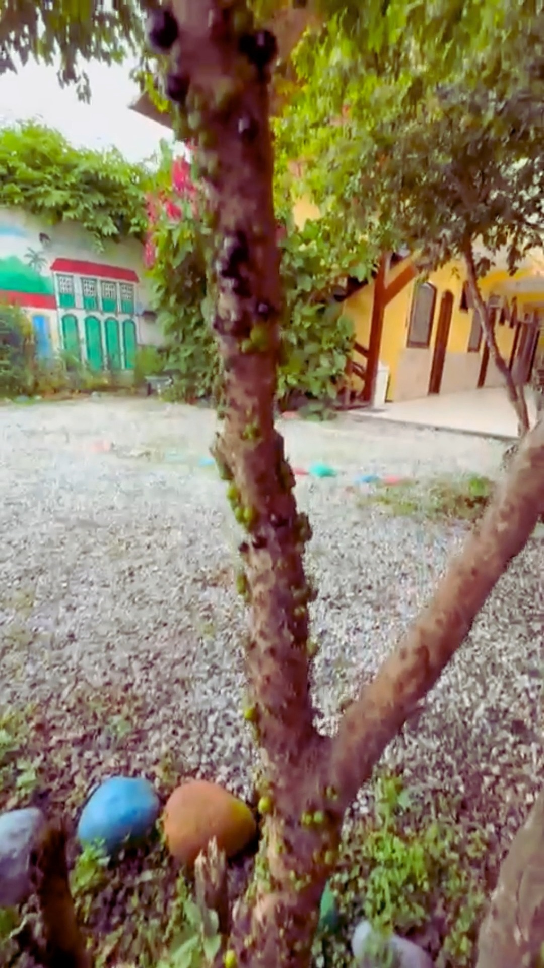✨ Seja bem-vindo à Pousada Parque Imperial!
Comece sua experiência em Paraty desde a chegada. Um ambiente tranquilo, familiar e preparado para você descansar depois de um dia de passeios.
📍 Ótima localização
🚗 Estacionamento gratuito
☕ Café da manhã opcional
🏡 Quartos confortáveis
Venha se hospedar com a gente e se sentir em casa em Paraty!
#PousadaParqueImperial #Paraty #HospedagemEmParaty #ViagemRJ #TurismoParaty #PousadaEmParaty