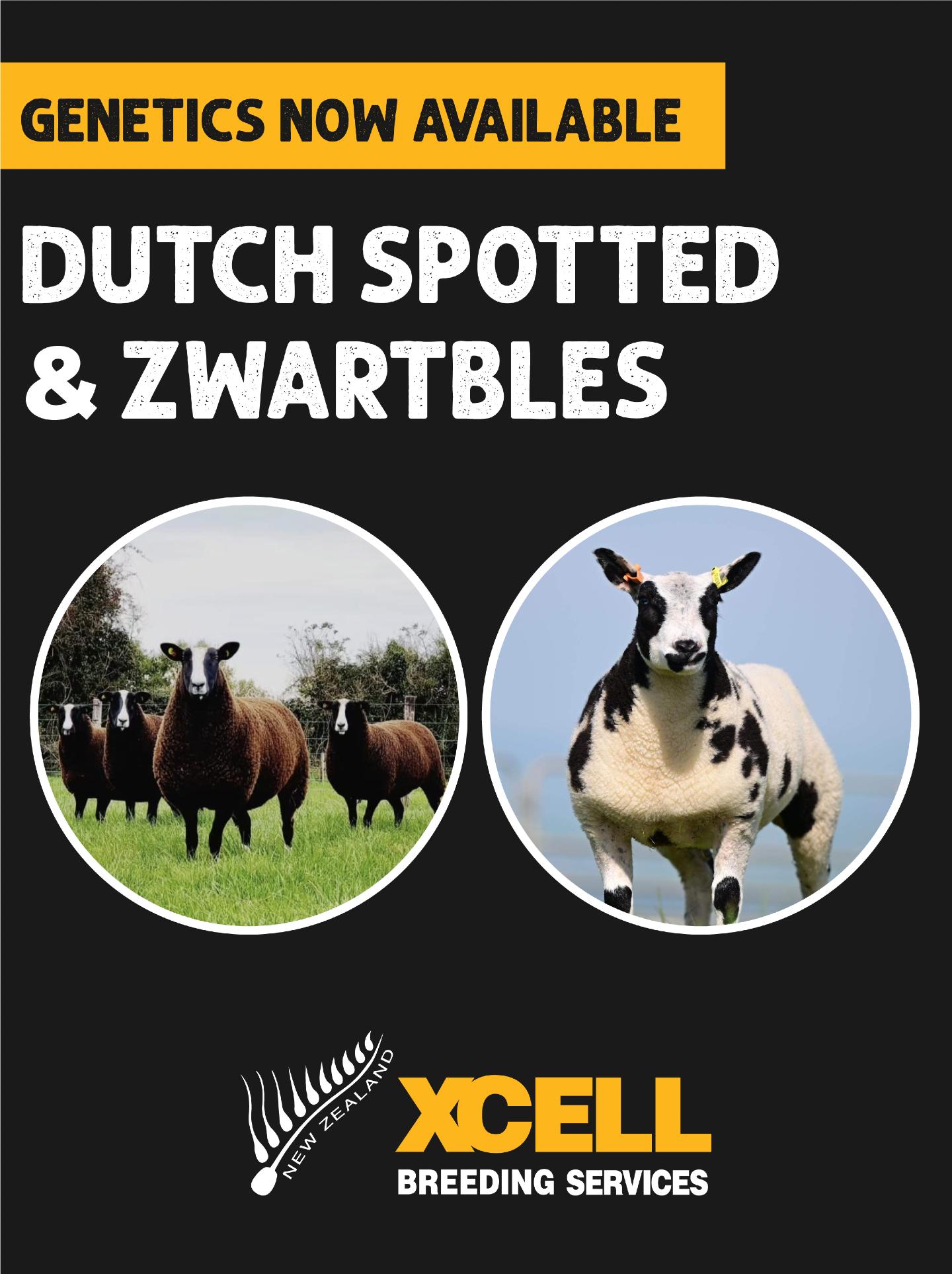 EMBRYOS AVAILABLE - DUTCH SPOTTED & ZWARTBLES
📅 We are implanting Dutch Spotted and Zwartbles embryos on 21 April, with pregnant recipient ewes available for purchase.
A great opportunity to secure quality genetics without the wait!
Get in touch now with any enquiries or to secure your recipient ewe 🐑🐑🐑
✉️ greg@xcell.co.nz
https://www.xcell.co.nz/