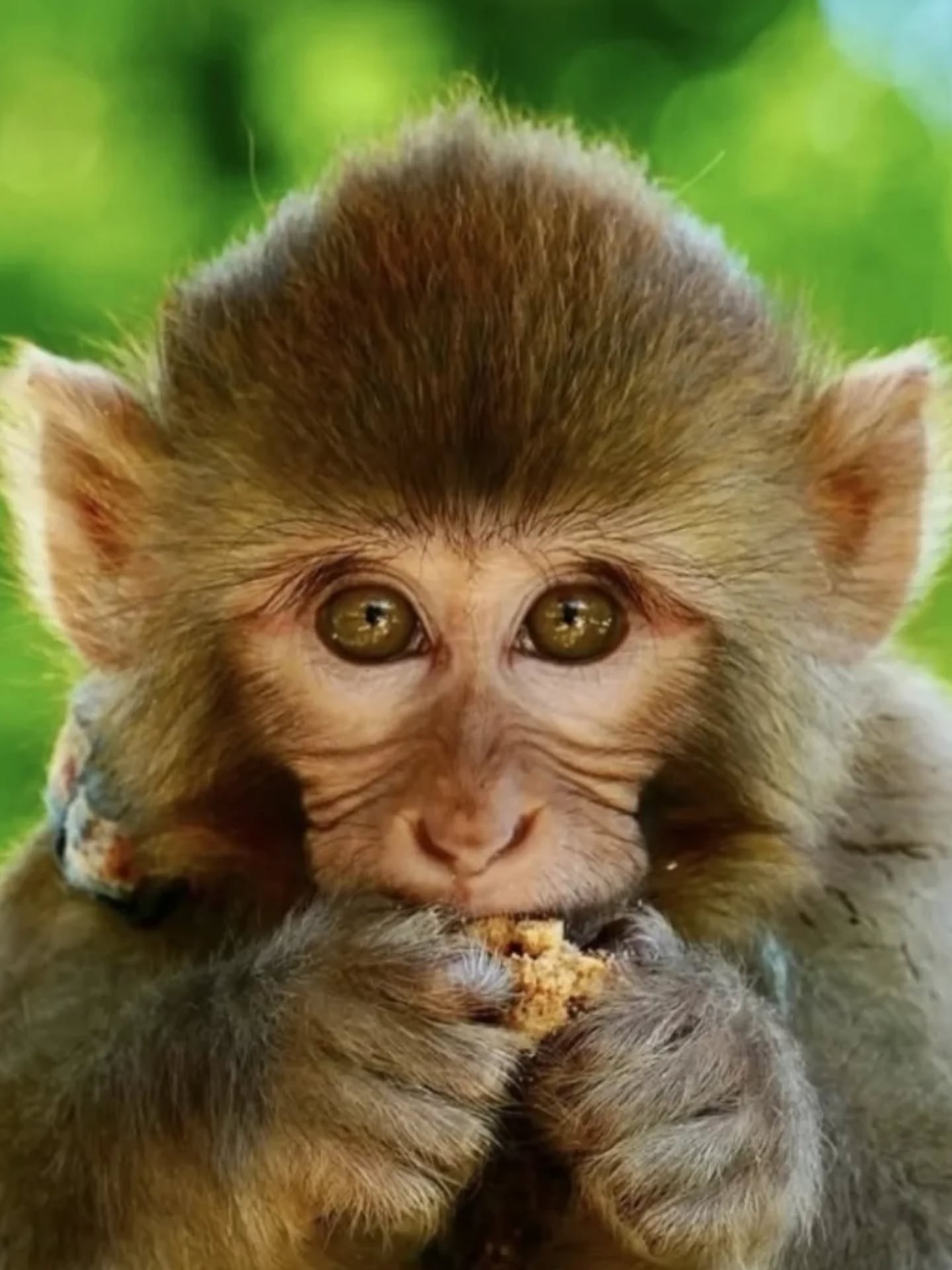 "Hayvanat bahçesinin arka bahçeniz olduğu Polonezköy Country Club'da vahşi yaşamla çevrili şıklıkta kalın."
"Stay in style surrounded by wildlife at Polonezköy Country Club - where the zoo is your backyard."
#wildliferetreat #zoolodge #yılmazsanlı #novumarmentum #otel hotel hotels istanbul istanbulotelleri konaklama tatil haftasonu bayramtatili polonezköytabiatparkı polonezköyotelleri zoo animals şömine bungalow bungalowstyle bungalowevleri bungalowotel köyevi kırevi villagehouse countryhouse istanbulzoo polonezköyzoo hayvanatbahçesindekonaklama deer
@polonezkoycountryclub