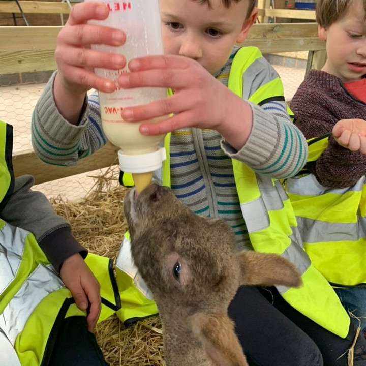 ACE - Galmpton C of E Primary School - Occombe Farm Visit
#occombefarm
#charactereducation
#devon