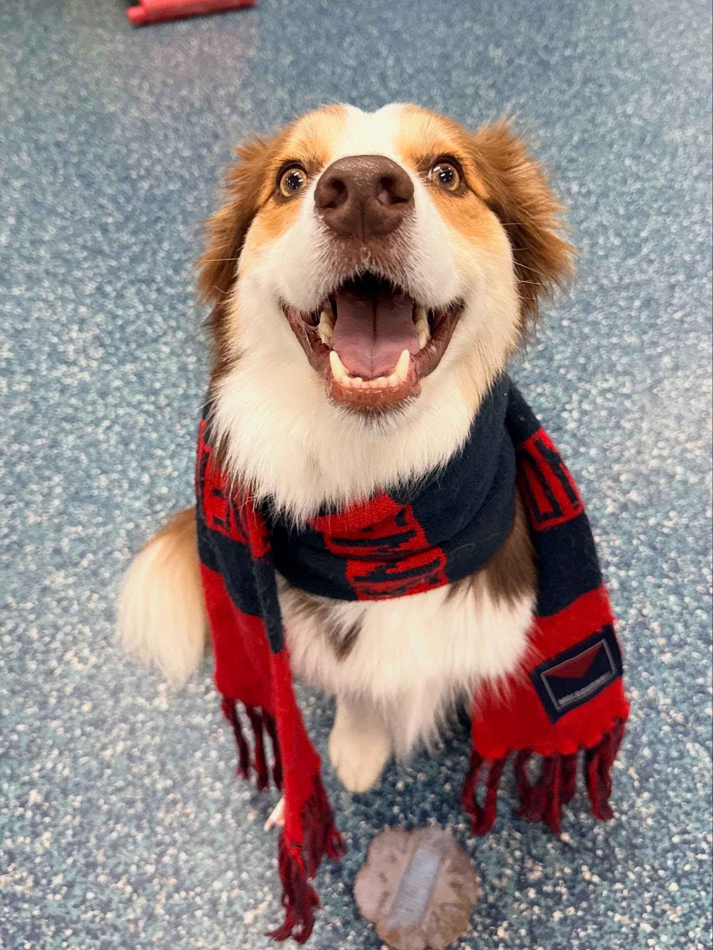 Footy fever has arrived at HOTH🏟️🏈