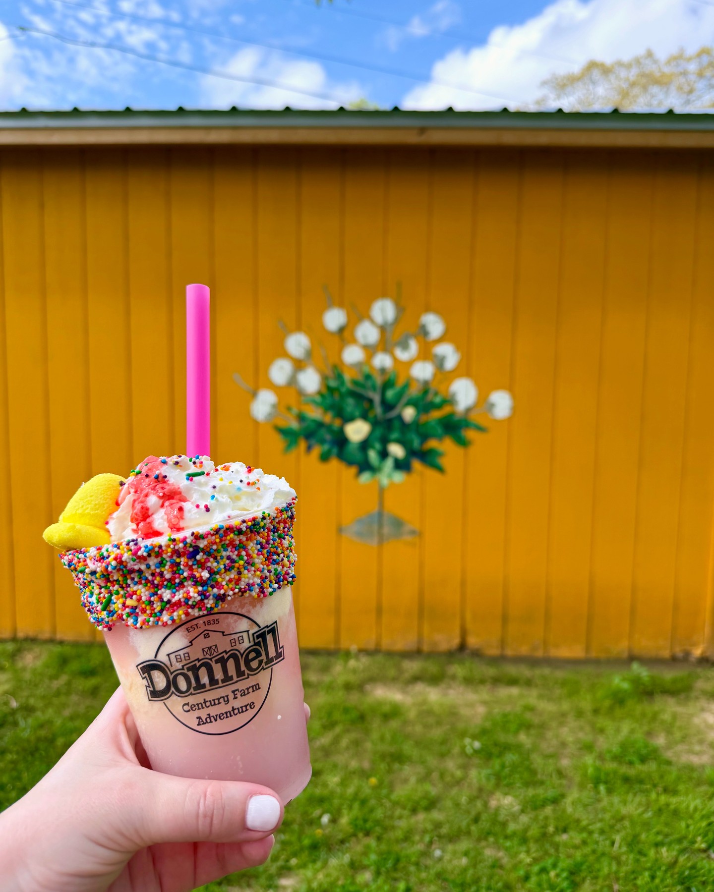 Hey Western Tennessee! Spring Play Day is today, April 11th from 10am-6pm at Donnell Century Farm. Join us for a day of play, good eats, spring photo ops, animal visits, and more!
🎟️ Get discounted tickets and find more info at our website: donnellcenturyfarm.com