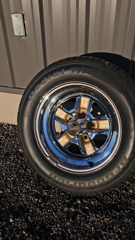 Little bit of everything around here.
80s are calling they want their gold back.
Preserving these original wheels off the 1986 Olds 442 we been working on.
After 40 years, the gold centers had faded away. The paint matched to factory finish in house and chrome polished up. Can't wait to see these on the car.
