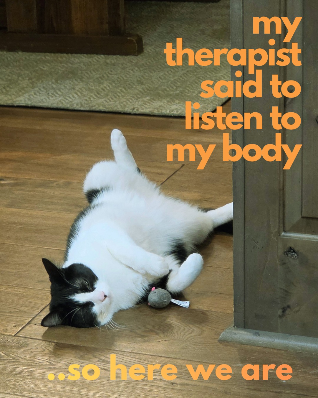 #catsofinstagram #funnycats #catmemes #petsofinstagram #therapyhumor #nervoussystemregulation #restisproductive #healingjourney