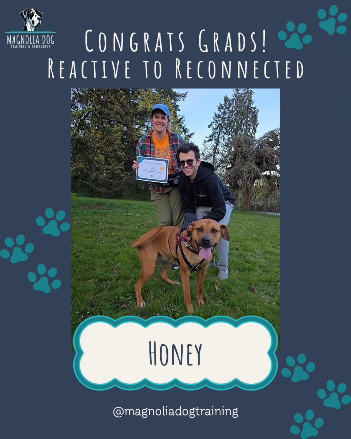 We are so proud of our recent Reactive to Reconnected grads - Honey, Marlo & Remi (with sidekick Leo!) ☀️🐾
Watching these teams grow in confidence, connection, and understanding is why we love what we do. And this is just the beginning - we can’t wait to see everything that continues to bloom over the next couple months with the ongoing drop-ins 🌱✨
Training doesn’t end here… it’s an ongoing journey, and the lessons learned, connections made and bonds built make it so worth it.
Ready to get started with your dog? Our next session kicks off Thursday, April 23 at 6pm 🌸💕