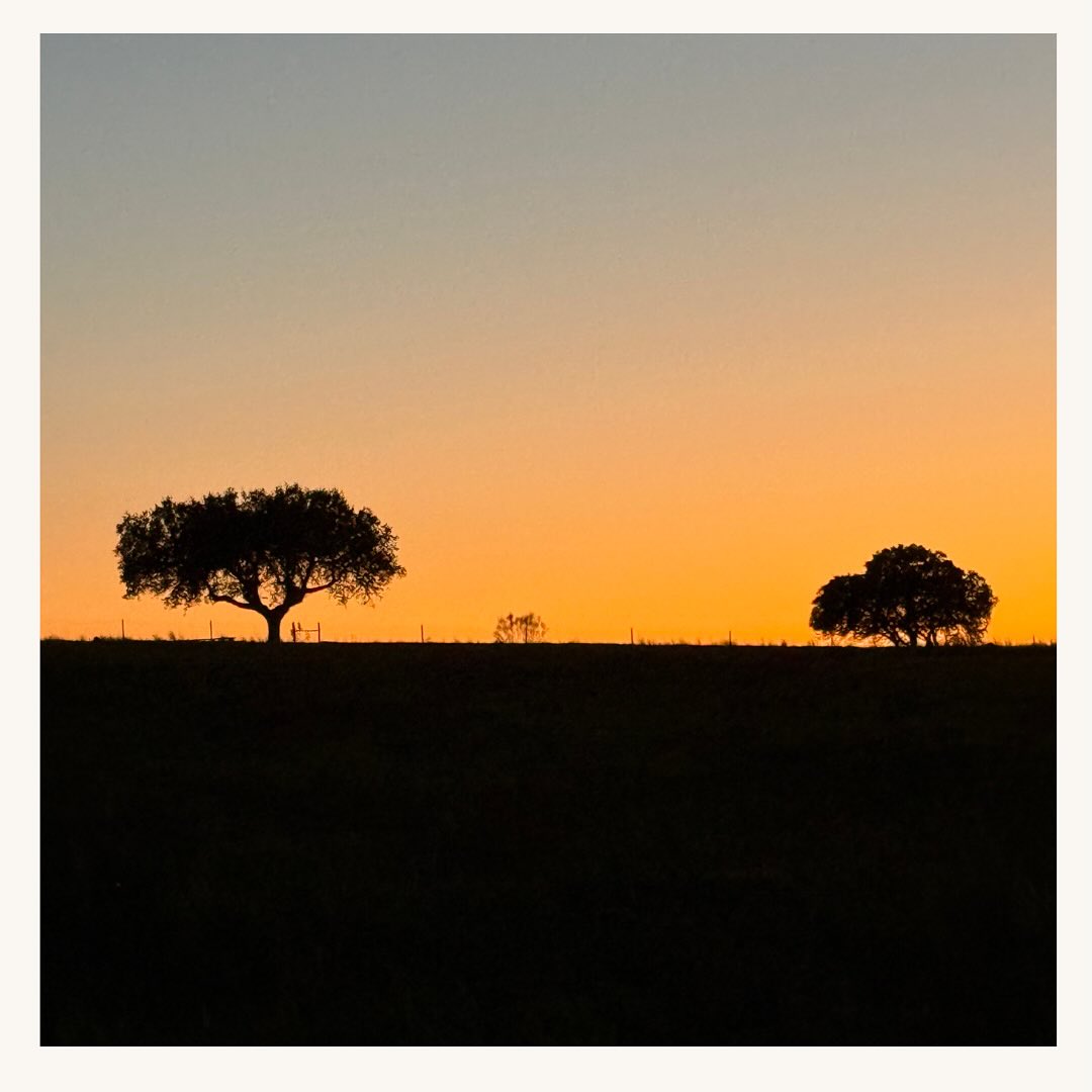 O Pôr do Sol é um Ritual de Vagar.
Não é um evento para fotografar, mas um estado de espírito para sentir. É o momento em que o tempo atinge o seu auge: quando o dia se despede sem pressa e nos convida à mesma lentidão.
Contemplar o horizonte enquanto a luz se funde com a terra é o derradeiro ato de presença. No silêncio da tarde que cai, o viajante deixa de procurar o caminho para se tornar parte da paisagem.
Sunset is a Ritual of Wandering.
It is not an event to photograph, but a state of mind to experience. It is the moment when time reaches its peak: when the day bids farewell without haste and invites us to embrace that same slowness.
Gazing at the horizon as the light merges with the earth is the ultimate act of presence. In the silence of the falling afternoon, the traveler ceases to seek the path and becomes part of the landscape.
#vagar #wandering #slowly #slowtourism #pordosol #sunset #goldenhour #Contemplação #viverdevagar #alentejo #sunsetlovers #mindfultravel #authentictravel #montimerso #montimersoskyscapecountryhouse