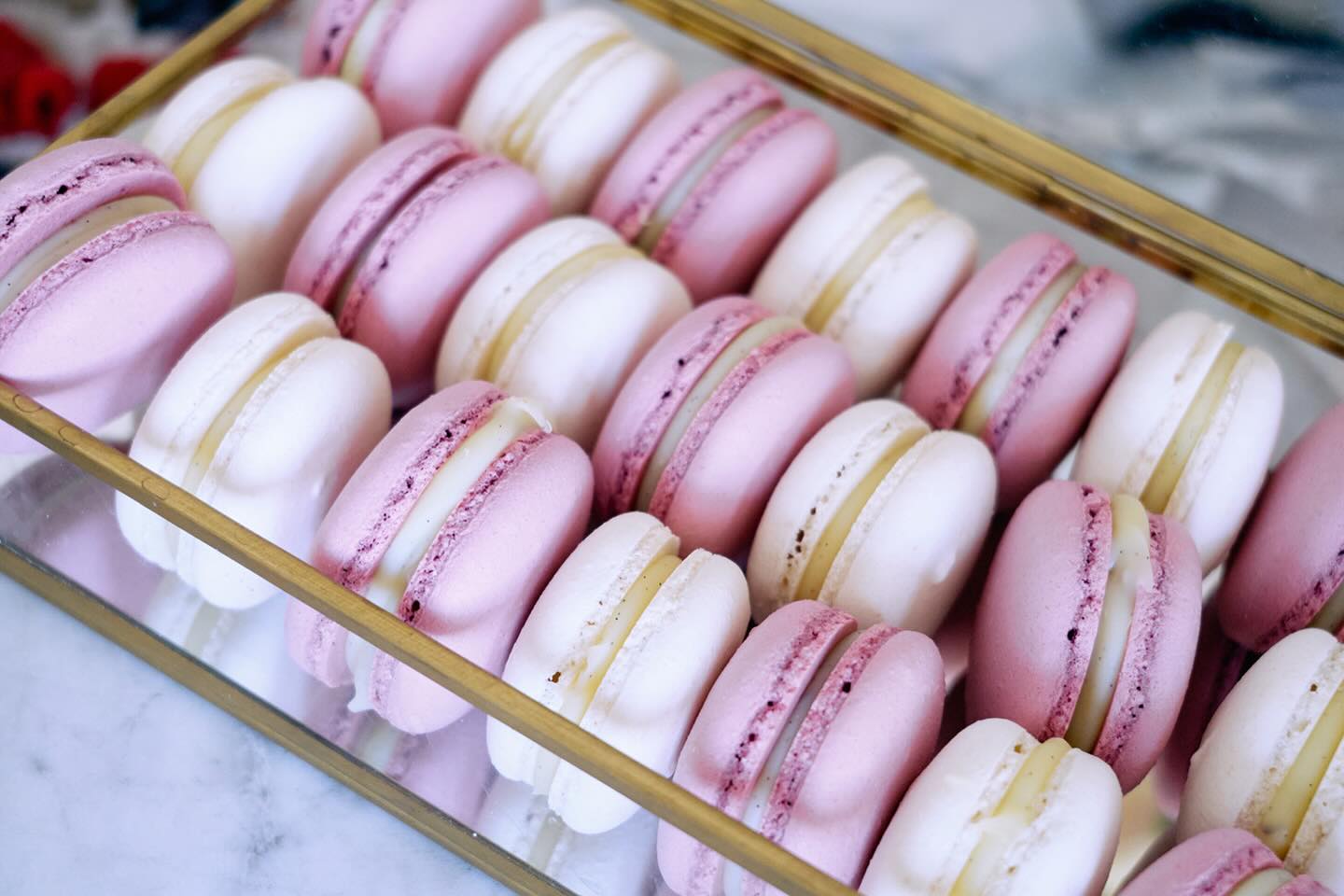 MACARON LIEBE
Wer von euch war auf der Hochzeitsmesse zu Besuch und hat ein Macaron ergattern können? 🥰
📸 @selene_adores
@diehochzeitsmesse_
@aliagraceweddings
@ckideal
@vervenu_
@schlossjaegersburg
#macaron #patisserie #juliasitter_patisserie