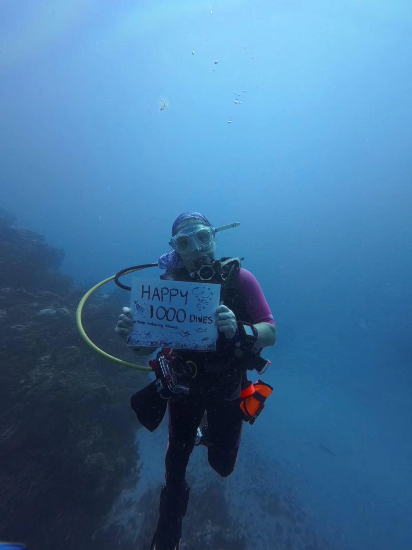 Another unforgettable week with our dive family 💙🤿
New certifications, new specialties, underwater adventures, celebrations, laughs on the boat, and memories made with an incredible group of divers 🌊
From learning new skills to simply enjoying every moment underwater together, this week had a little bit of everything.
Huge thanks to our amazing Dive Masters and all the divers who made this week so special 🙌🏽
#cozumeldiving #Cozumel #diving #aldoradivers
