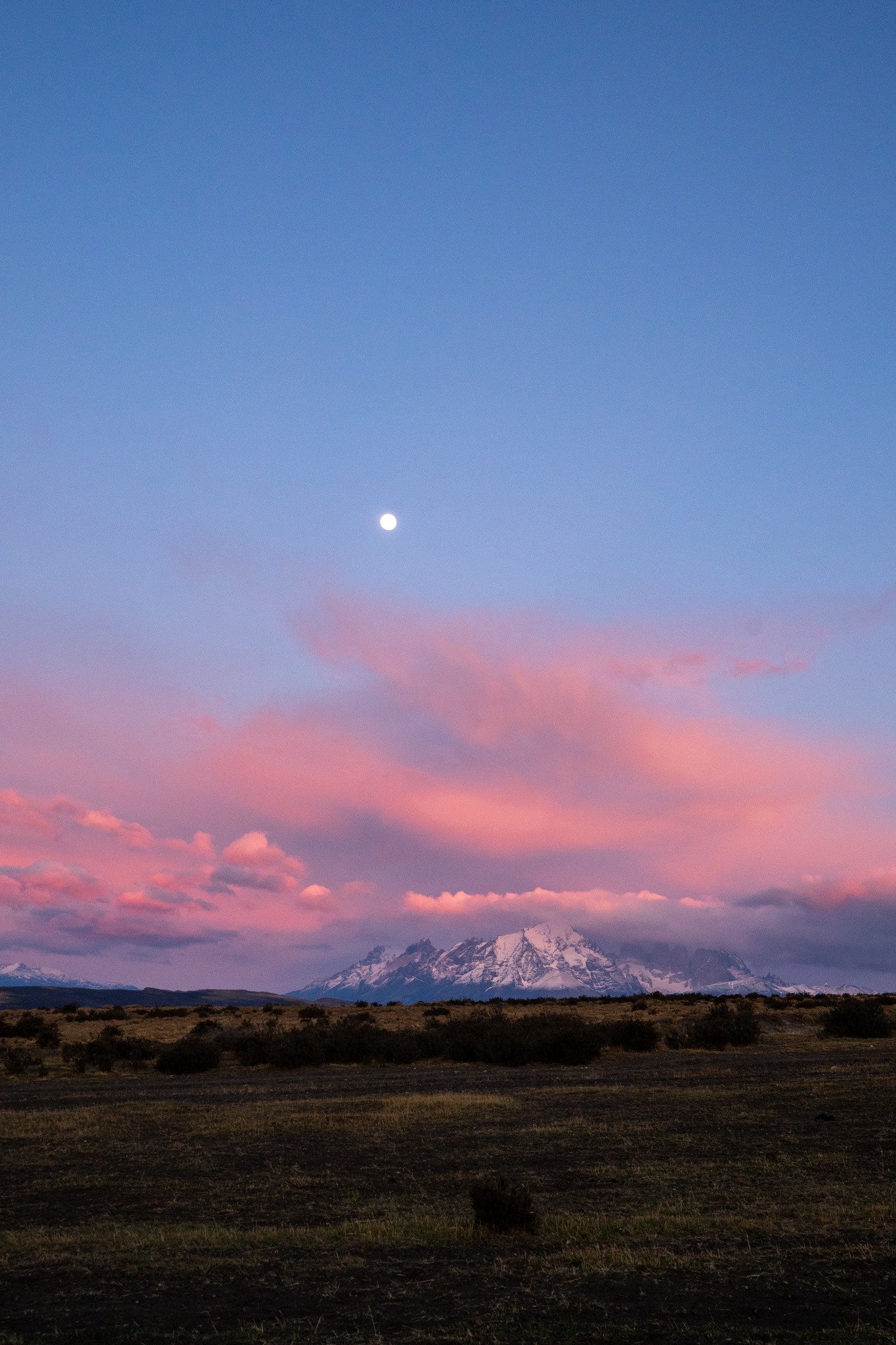 ¿Cómo se construye la coexistencia en la Patagonia? 🌿
Desde Cerro Guido, compartimos parte del trabajo en terreno: monitoreo, ciencia y acciones concretas para entender y proteger la vida silvestre 🐆
Un modelo que busca equilibrar naturaleza, cultura y producción en un mismo territorio.
-
How is coexistence built in Patagonia? 🌿
From Cerro Guido, we share part of our fieldwork: monitoring, science, and real actions to understand and protect wildlife 🐆
A model that seeks to balance nature, culture, and production within the same landscape.
@piavergarafotografia
#Coexistence #Conservation #Patagonia #Wildlife #CerroGuido
