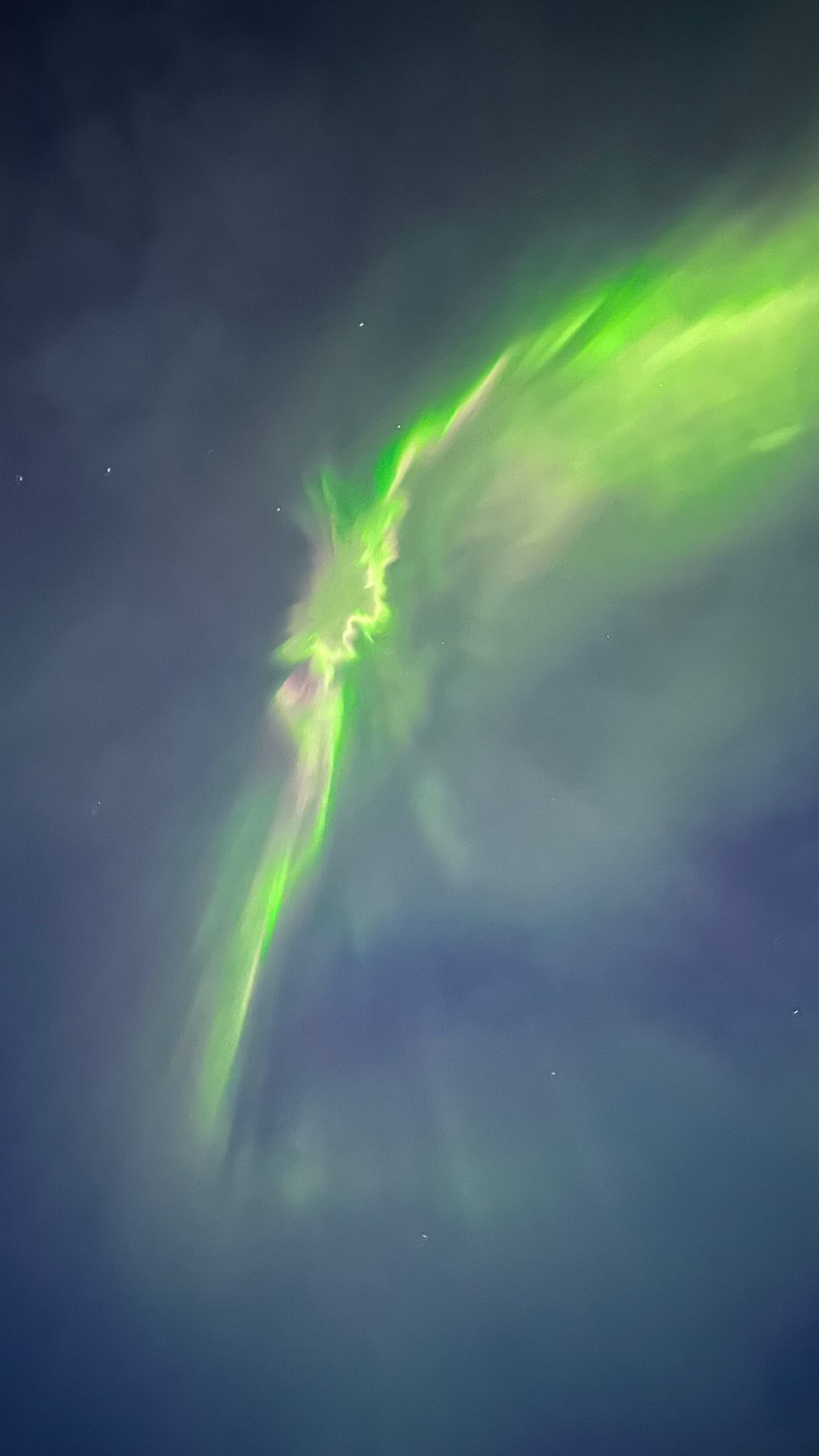Mes photos ne valent pas ce que mes yeux on vu. Ce que mon cœur a ressenti.
C’est mieux en vrais, même sous -1 degré.
Mais c’est cadeau !
#northenlights #aurora #icelandadventure