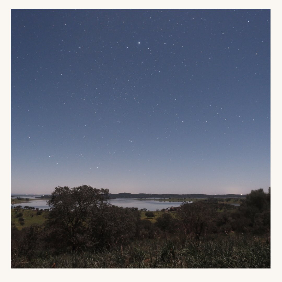 Para olhar o céu estrelado há que ter calma e tempo. Sem pressa, os olhos reaprendem a ver o infinito. Aqui, o tempo não se mede em horas, mas em constelações que desfilam devagar na via láctea. Sob este manto de luz antiga, o viajante descobre que o destino mais profundo se encontra parando e contando estrelas.
To gaze at the starry sky, one must have patience and time. Without haste, the eyes relearn how to see the infinite. Here, time is not measured in hours, but in constellations that slowly parade along the Milky Way. Under this mantle of ancient light, the traveler discovers that the deepest destination is found by stopping and counting stars.
#vagar #slowly #slowtourism #darksky #alentejo #ceuestrelado #stargazing #astroturismo #astroturism #slowliving #infinito #infinite #mindfultravel #authentictravel #montimerso #montimersoskyscapecountryhouse
