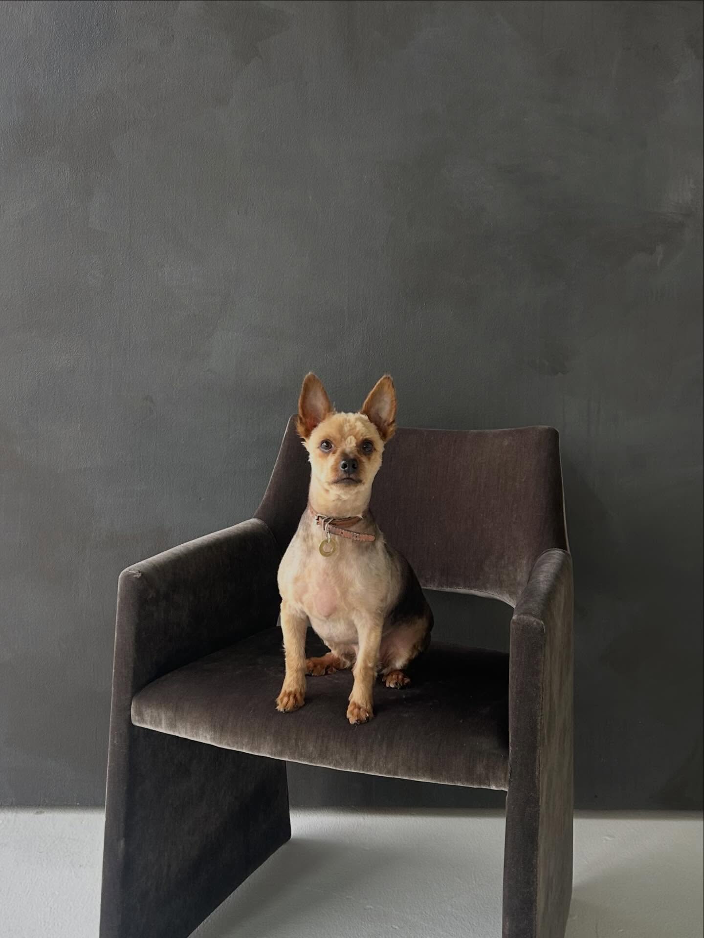 ode to the marbles of NiGHt sKY 🌙
was she grey? was she brown? was she black?
we loved this warm meets cool color theory girl.
find her in The Sunroom at @realmdenver until 4/30.