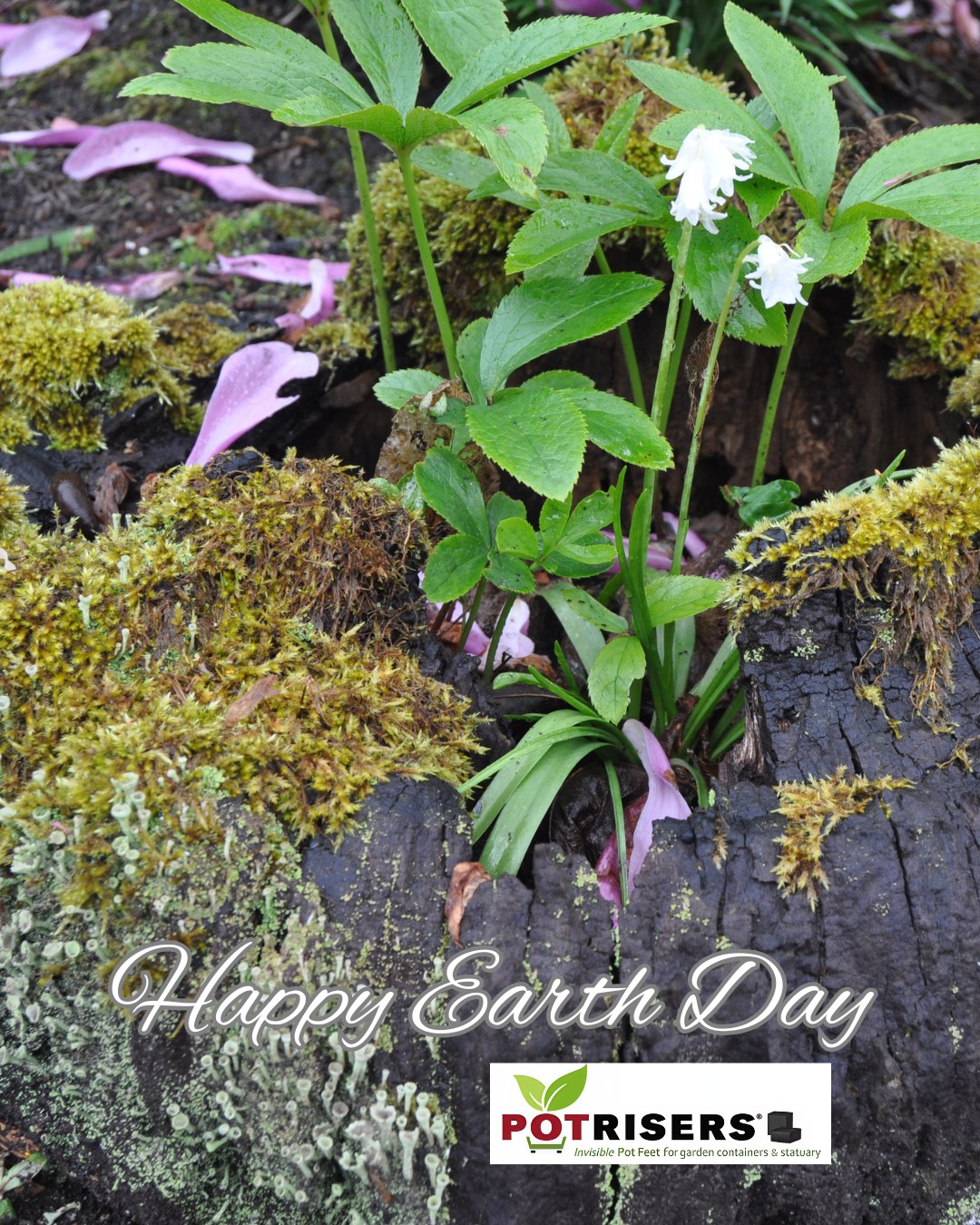 Happy Earth Day 🌍
The beauty and intricacy of nature cannot be matched — a giver of life, an immeasurable gift we get to care for every day.
At Potrisers, we’re reminded daily that even the smallest choices matter. That’s why Potrisers are made from 100% recycled material and designed to last a lifetime — built with respect for the planet that makes it all possible.
Let’s love our planet not just today, but in every season of growth 💚
#EarthDay #LoveOurPlanet #SustainableLiving #EcoFriendly #Sustainability #RecycleReuseReduce
#Gardening #ContainerGardening #PlantLovers #PlantCare #GardenLife
#Potrisers #MindfulLiving