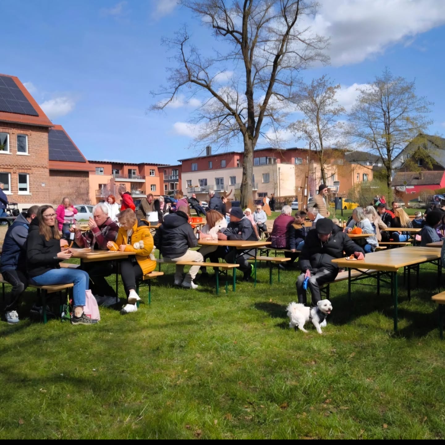 Zur guten und beliebten Tradition ist die Ostereiersuche am Ostermontag im Bösingfelder „Park mit Potenzial“ geworden. Seit 2014 organisiert die Projektgruppe „Park mit Potenzial“ dieses Familienevent, inzwischen unter der Schirmherrschaft des Heimat- und Verkehrsvereins Bösingfeld und von Beginn an in Kooperation mit Jukulex e.V.. Gut 200 kleine und große Gäste fanden sich in diesem Jahr bei bestem Osterwetter im Park ein. Sehr zur Freude und Zufriedenheit der vielen ehrenamtlichen Helfer/-innen, deren Anliegen es ist, den Park attraktiver zu gestalten und mit Leben zu füllen. Über 600 bunte Ostereier und Osterhasen waren im Park versteckt und ließen Kinderherzen beim Suchen und Finden höherschlagen. Für das leibliche Wohl standen Heißwurst und kühle Getränke bereit. Wie in den Vorjahren war die Hüpfburg von Jukulex insbesondere von den Jüngsten dicht umlagert. Ein ganz besonderes Dankeschön des Helfer-Teams geht einmal mehr an den Bösingfelder REWE-Markt, der die Ostereier und- hasen spendete. Der Erlös aus der Veranstaltung ist übersichtlich, da die Getränke und Heißwurst zum günstigen, familienfreundlichen Preis verkauft wurde, aber jeder Euro zählt für die weiteren Gestaltungsmaßnahmen im Park mit Potenzial. Text : Hans Böhm Projektgruppe Park mit Potenzial