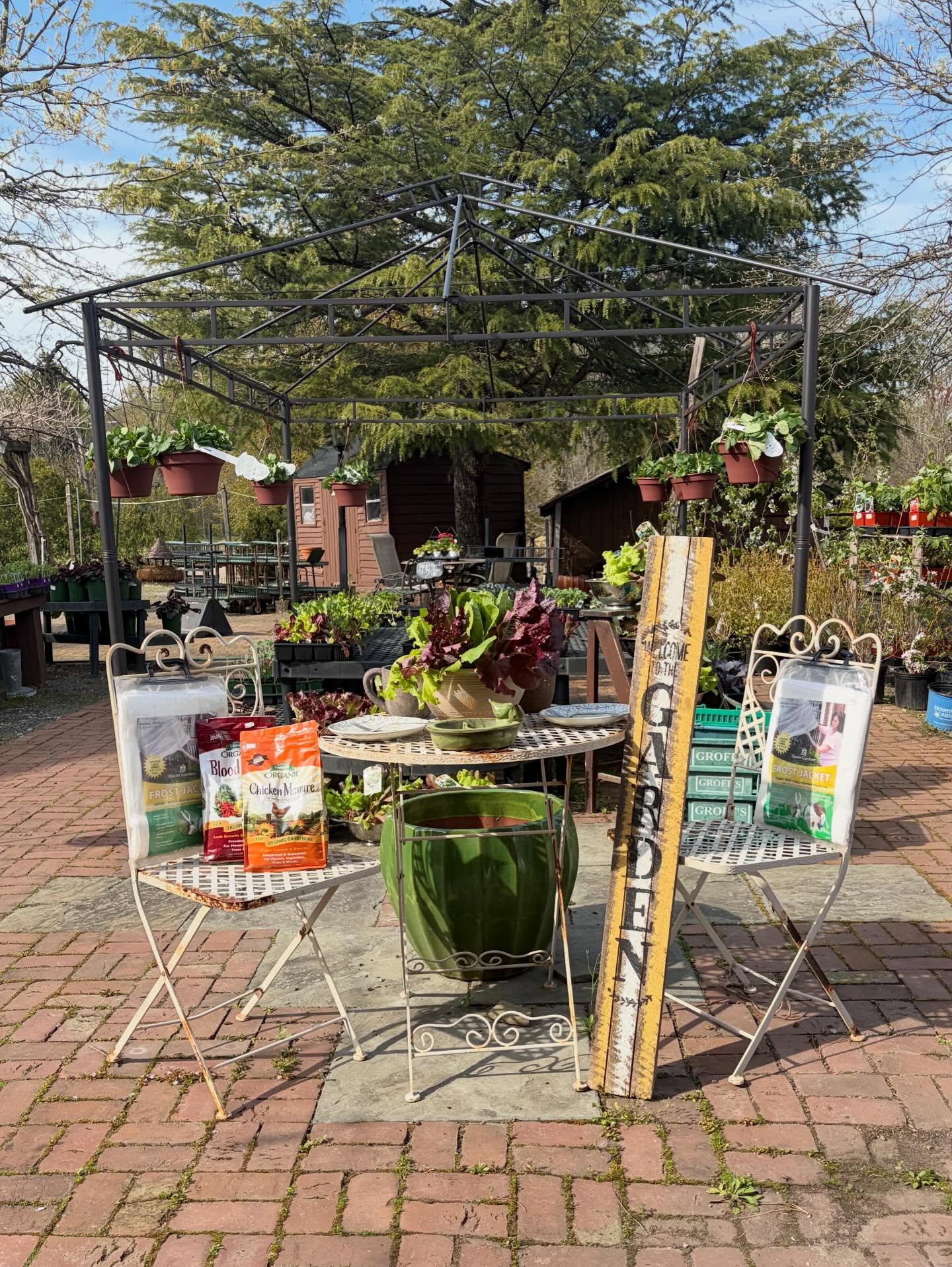 Cook delicious meals with your own veggies and herbs!๐ฅฌ $3.99 / 3 for $10 now at Groffโs Gardens๐ฑ #pitman #pitmannj #gardencenter #groffs #sale