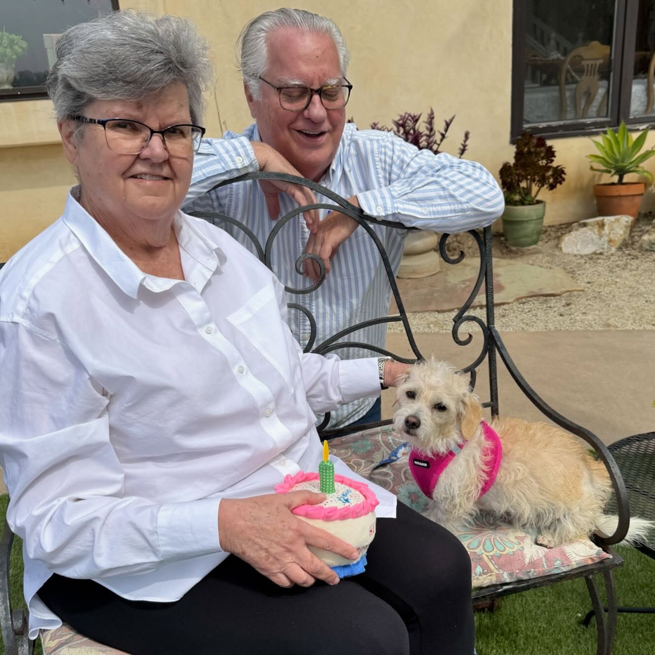 π GENEVA UPDATE
After arriving 6 weeks ago with her sister, Paris, who was adopted soon after, our sweet Geneva finally got HER Happily Ever After this past week. π
Her new mom & dad are smitten with her & love her so much π
#happyending #rescuedwithlove #adoptdontshop #almarescue