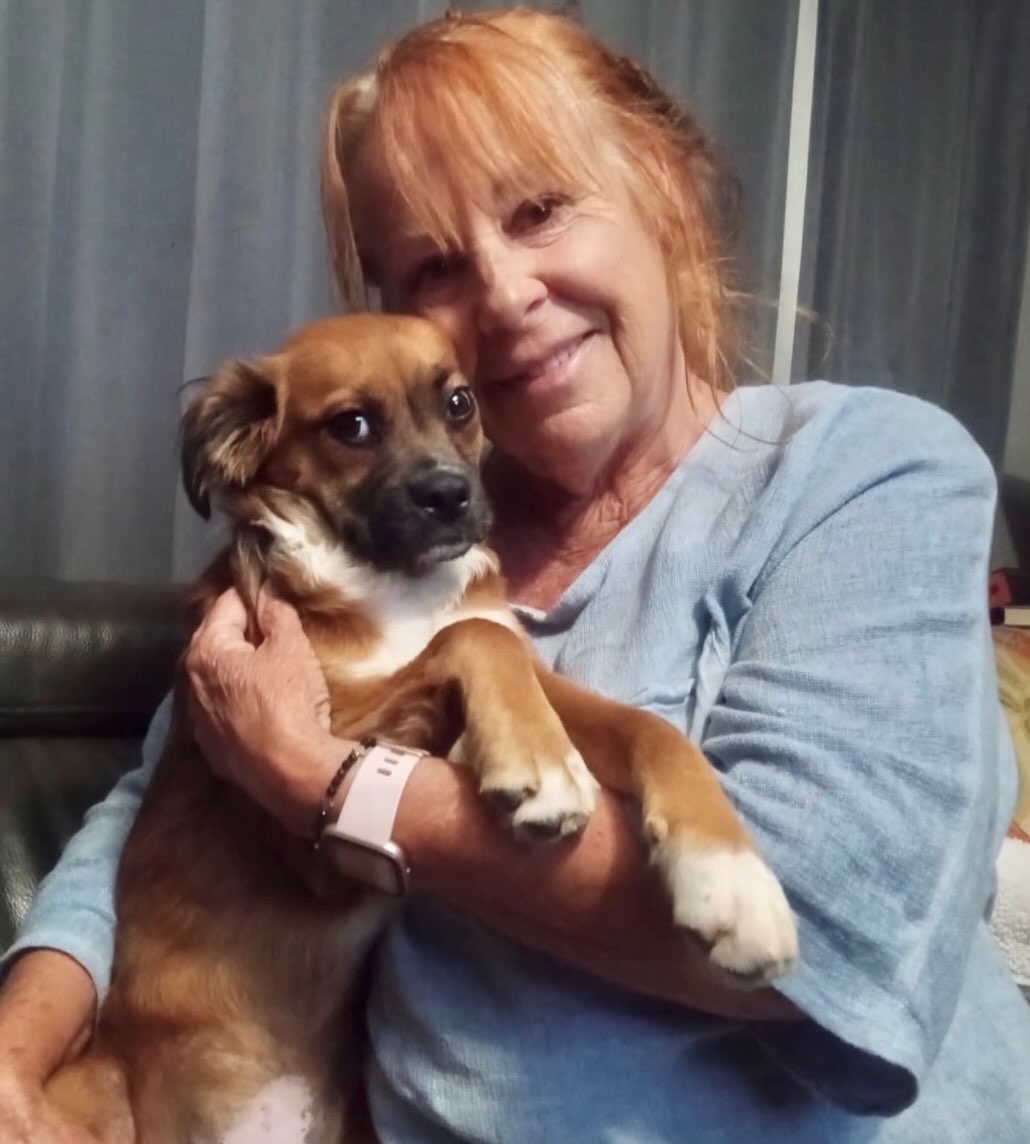 Sweet little puggle Porsche hit the jackpot with her new mama Sheri & family! She has a new big fur sibling/sister Sadie who's awesome and a big piece of property to run & play on. We are SO happy for her! π
#fromhomelesstohappy #rescuedwithlove #adoptdontshop #bajababies #almarescue